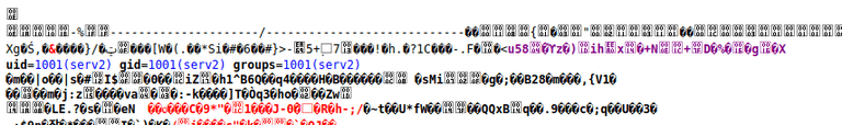 Webshell Command