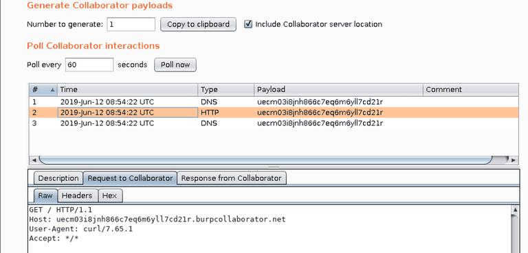 Screengrab of Burp Suite Collaborator in action